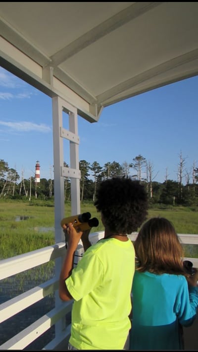 <span>Meet our</span> Members callout