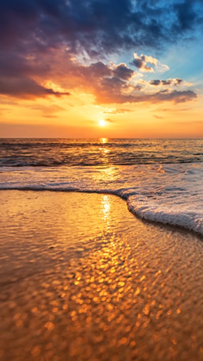 <span>View our</span> Webcam callout