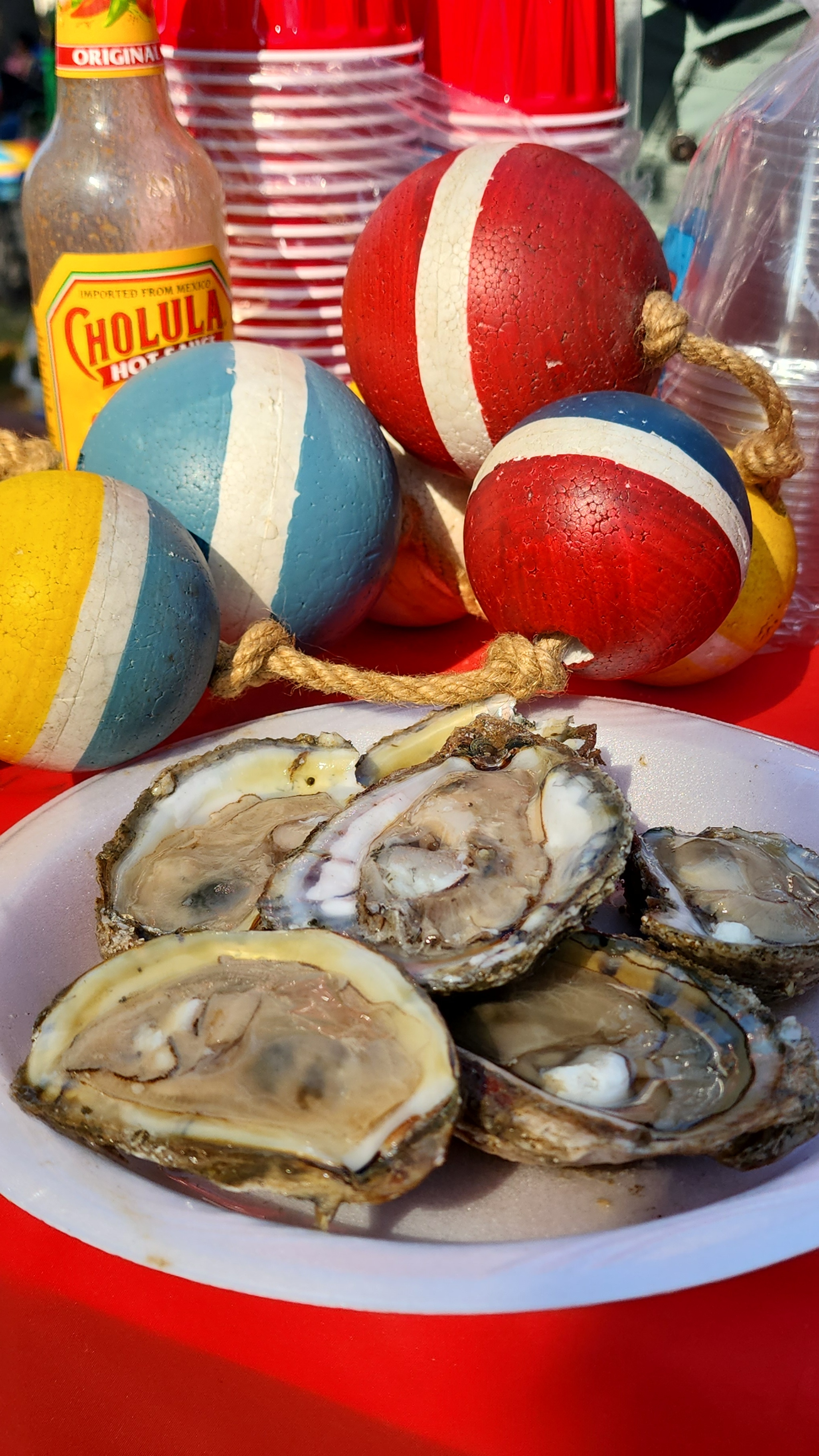 Chincoteague Island VA | Things to do