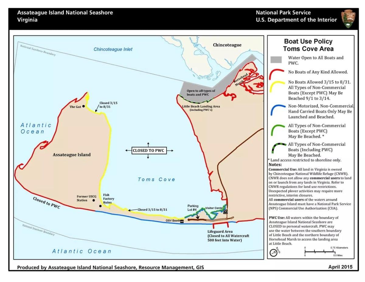 Kayak the Scenic Waterways of Chincoteague and Assateague Islands